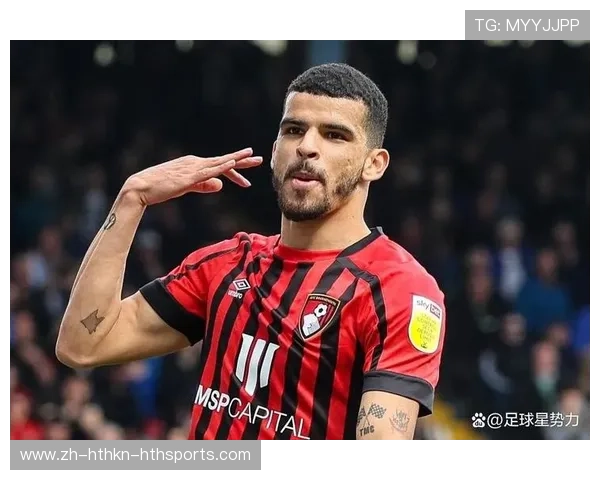 英超球队的球迷职业身份探索 英超球队的球迷职业身份探索